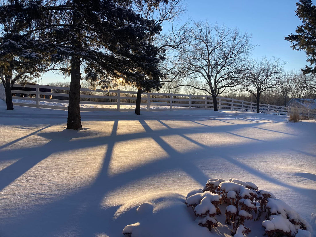 Can You Install a Fence in Winter? What to Know Before You Build