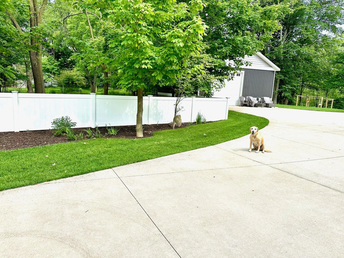 7 Eco-friendly Options for Fences & Railing