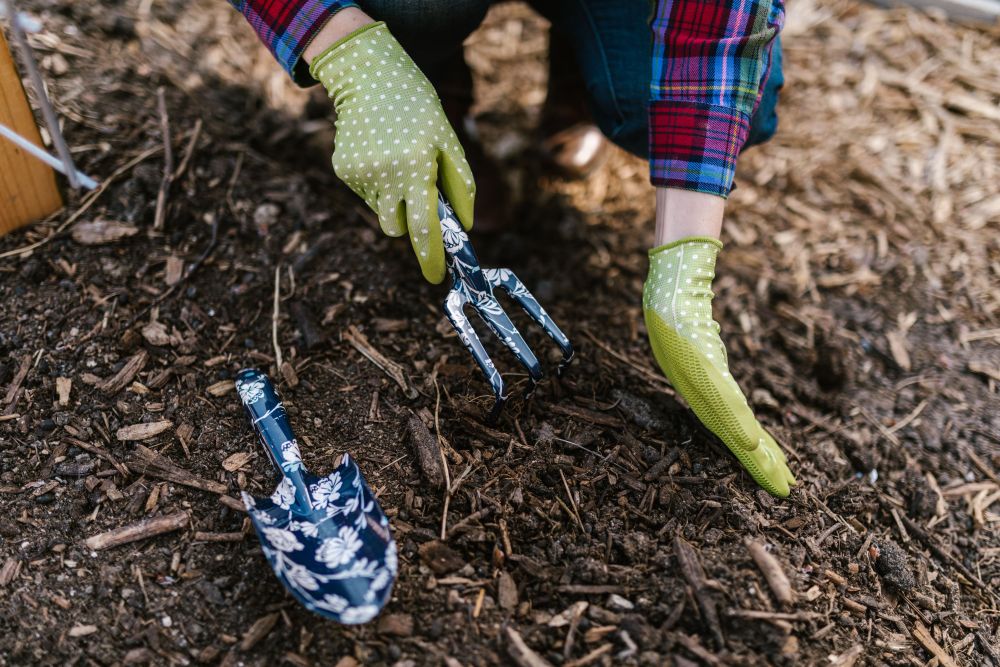 Winterizing Checklist, Part 1: How to Winterize Your Yard
