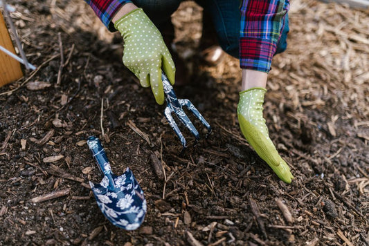 Winterizing Checklist, Part 1: How to Winterize Your Yard