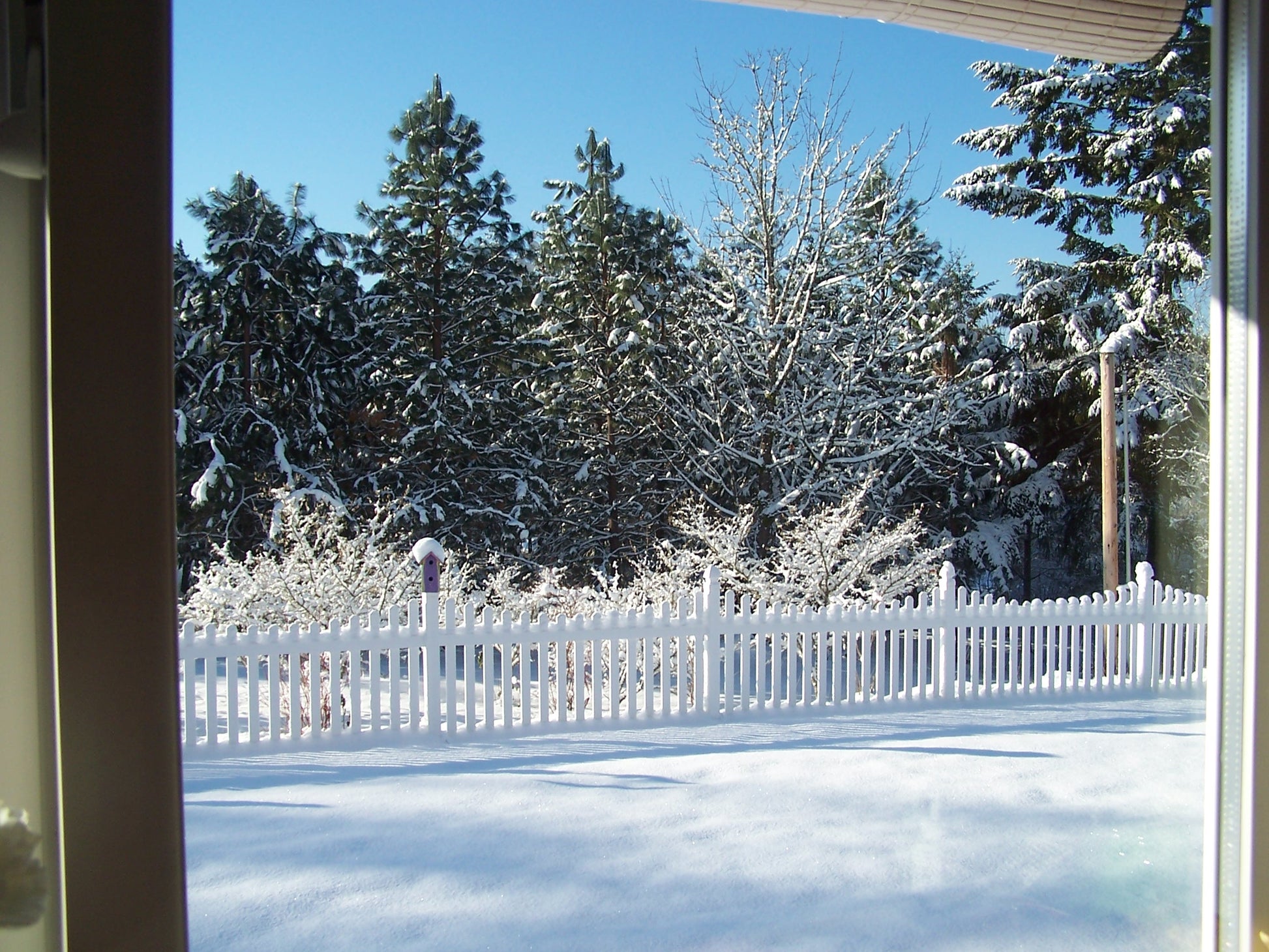 Snow-covered trees and Weatherables Ellington white vinyl picket fence seen through a glass door on a clear day.