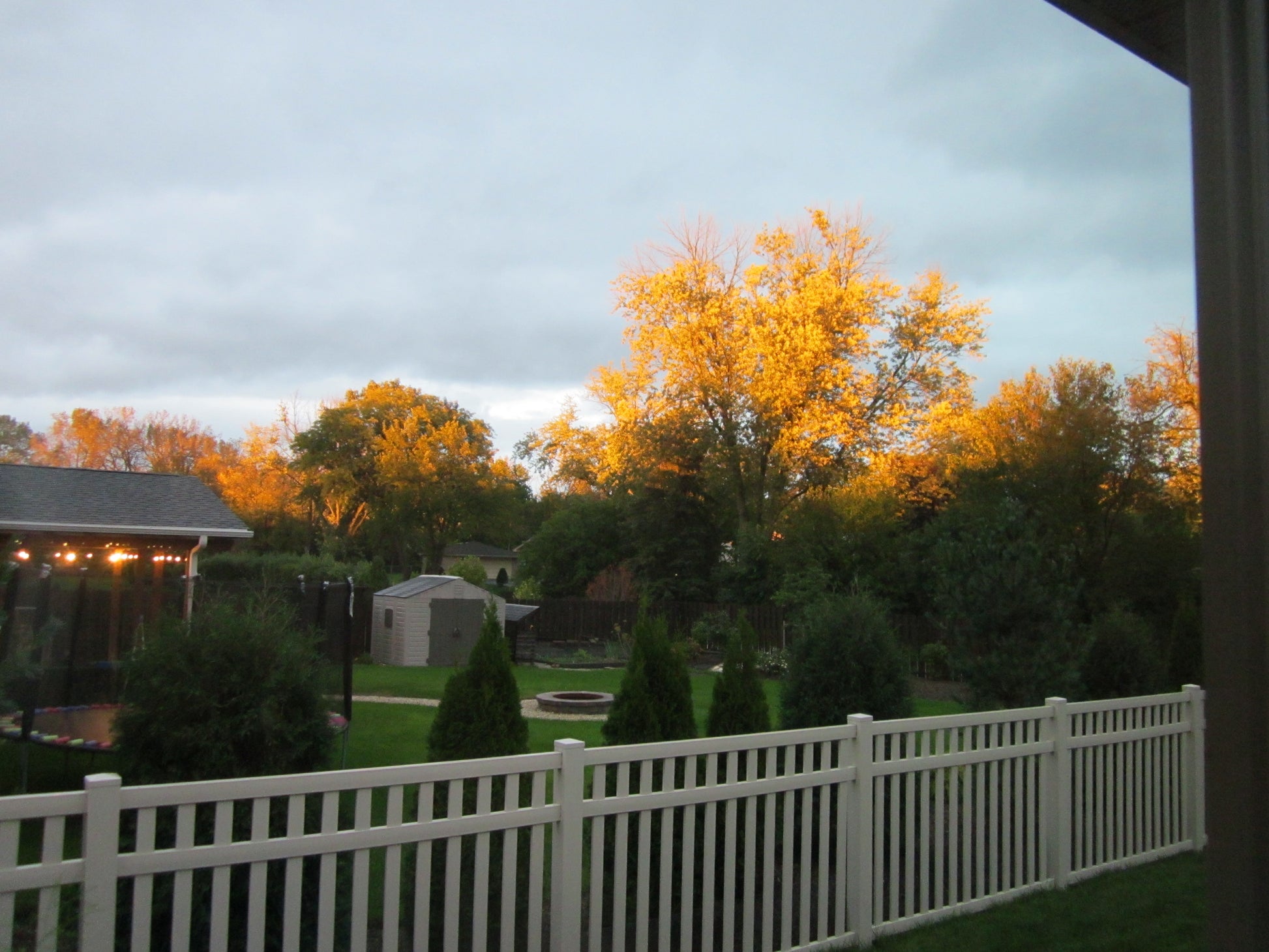 View of a garden with trees and a Weatherables Captiva tan vinyl fence on a cloudy day