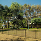 Lawn with trees, Weatherables Pacific black aluminum fencing and a building in the background