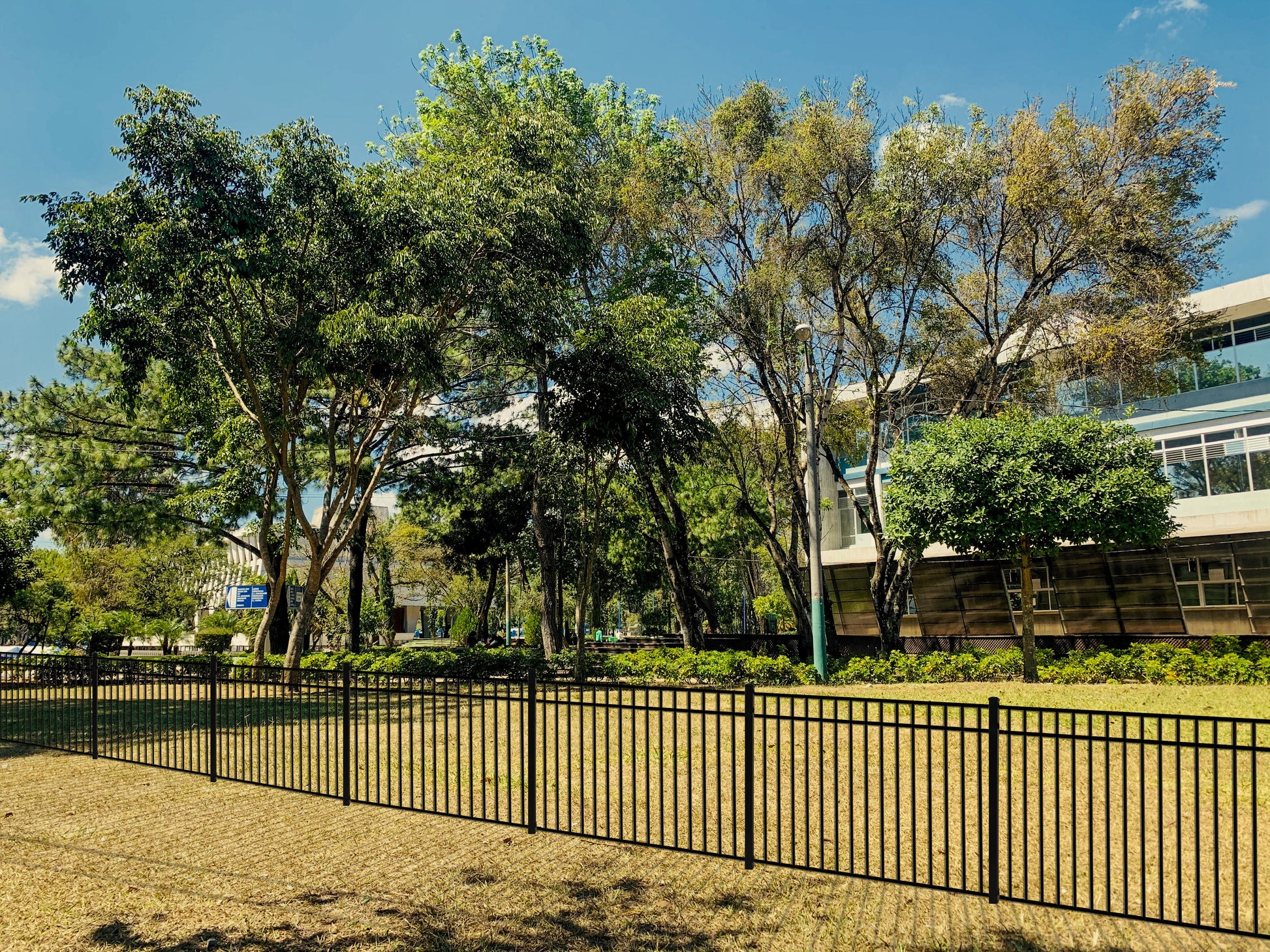 Lawn with trees, Weatherables Pacific black aluminum fencing and a building in the background