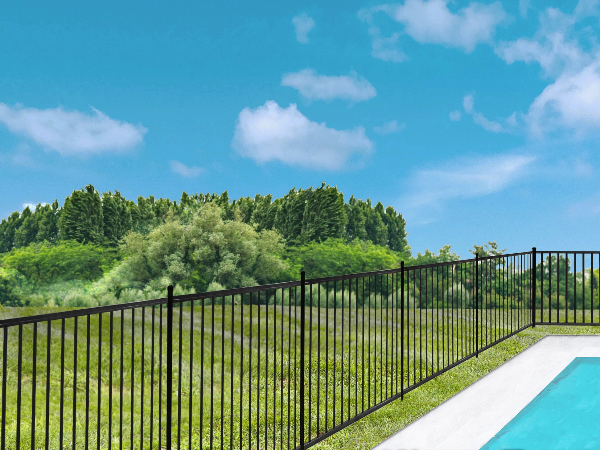 Pool area with Weatherables Atlantic black aluminum fence and greenery under a blue sky