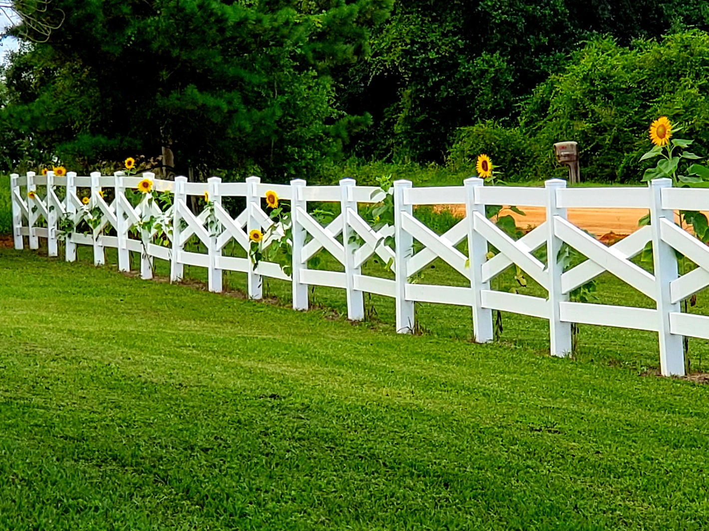 Weatherables Crossbuck white vinyl horse fence with sunflowers along a grassy area