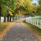 Pathway lined with trees and Weatherables 4-Rail white vinyl horse fences in a park-like setting