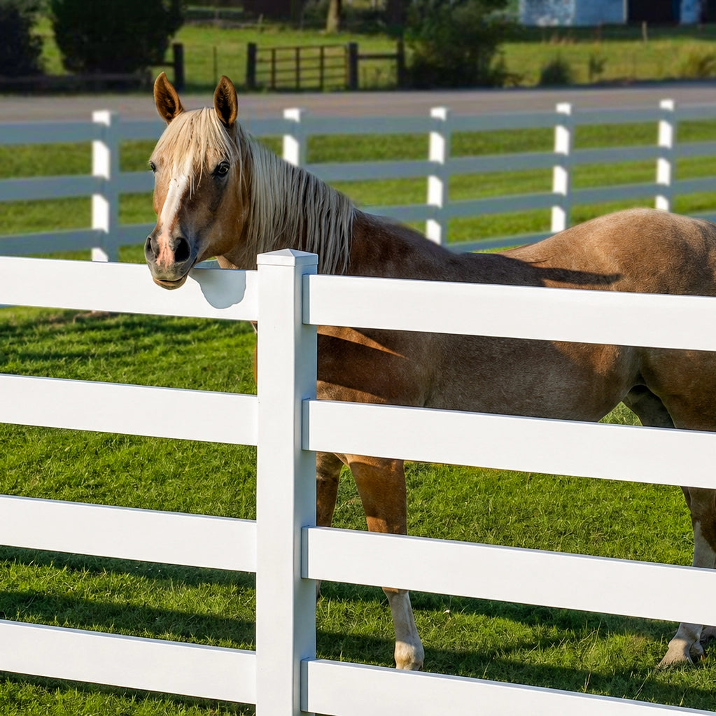 A light colored horse striking a pose to try and compete for attention with the Weatherables 4 rail vinyl ranch rail fencing absolutely mogging it in the foreground. 