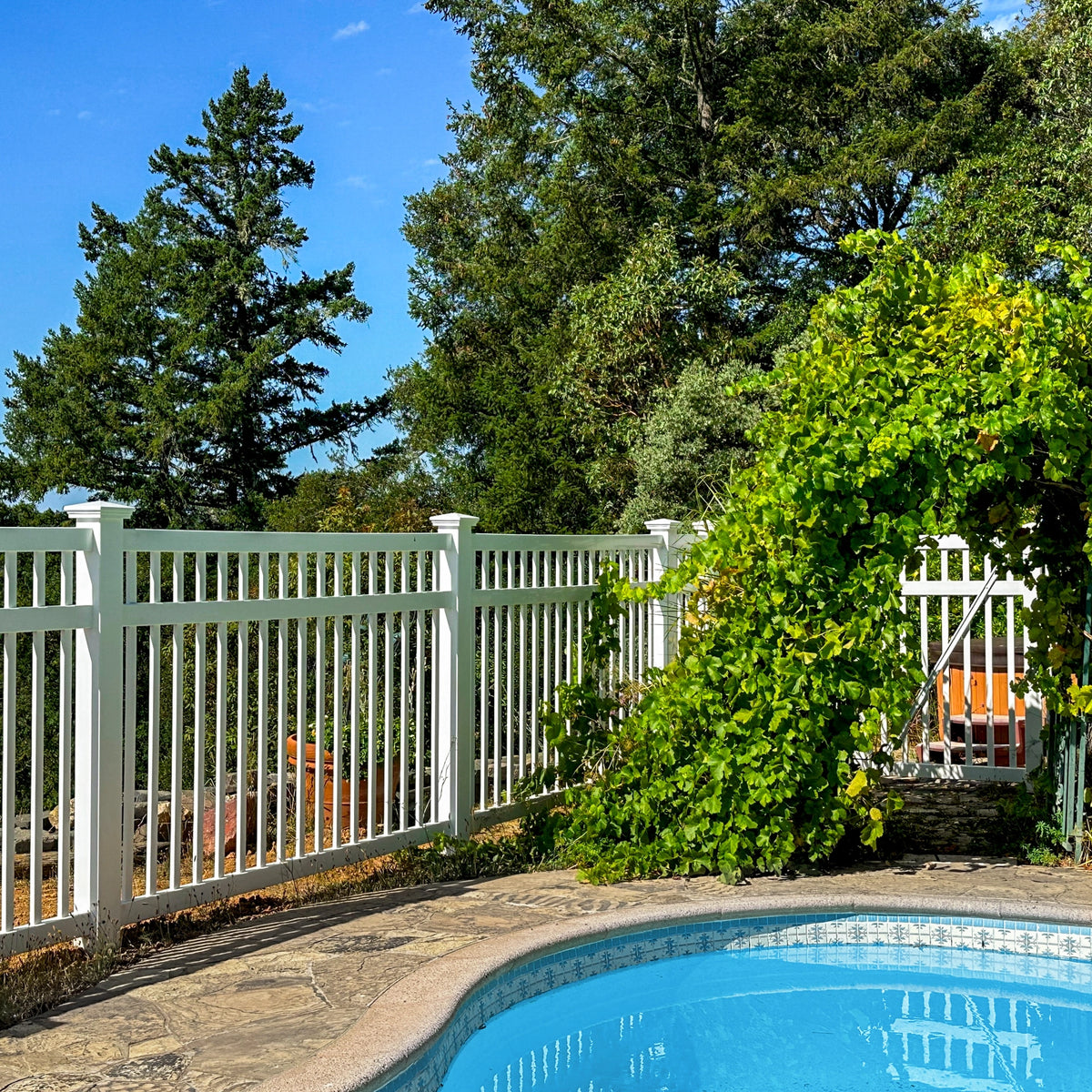 Neptune closed top fencing surrounding a small yard pool, with an overgrown ivy entrance. 