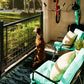 Dog sitting on a patio admiring his Weatherables Morocco black and silver aluminum mesh deck railing