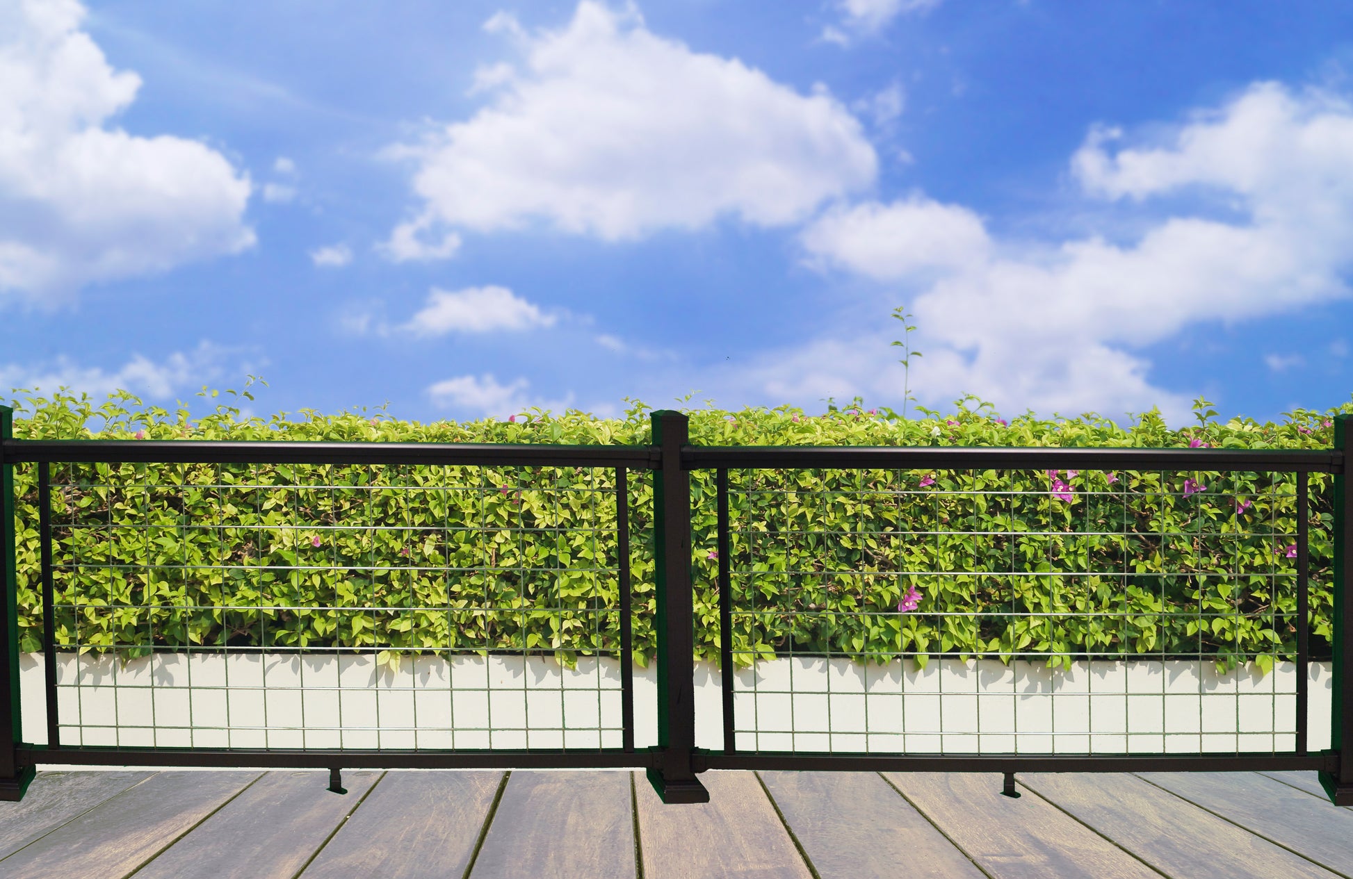 Weatherables Morocco black and silver aluminum mesh deck railing with greenery and a clear blue sky