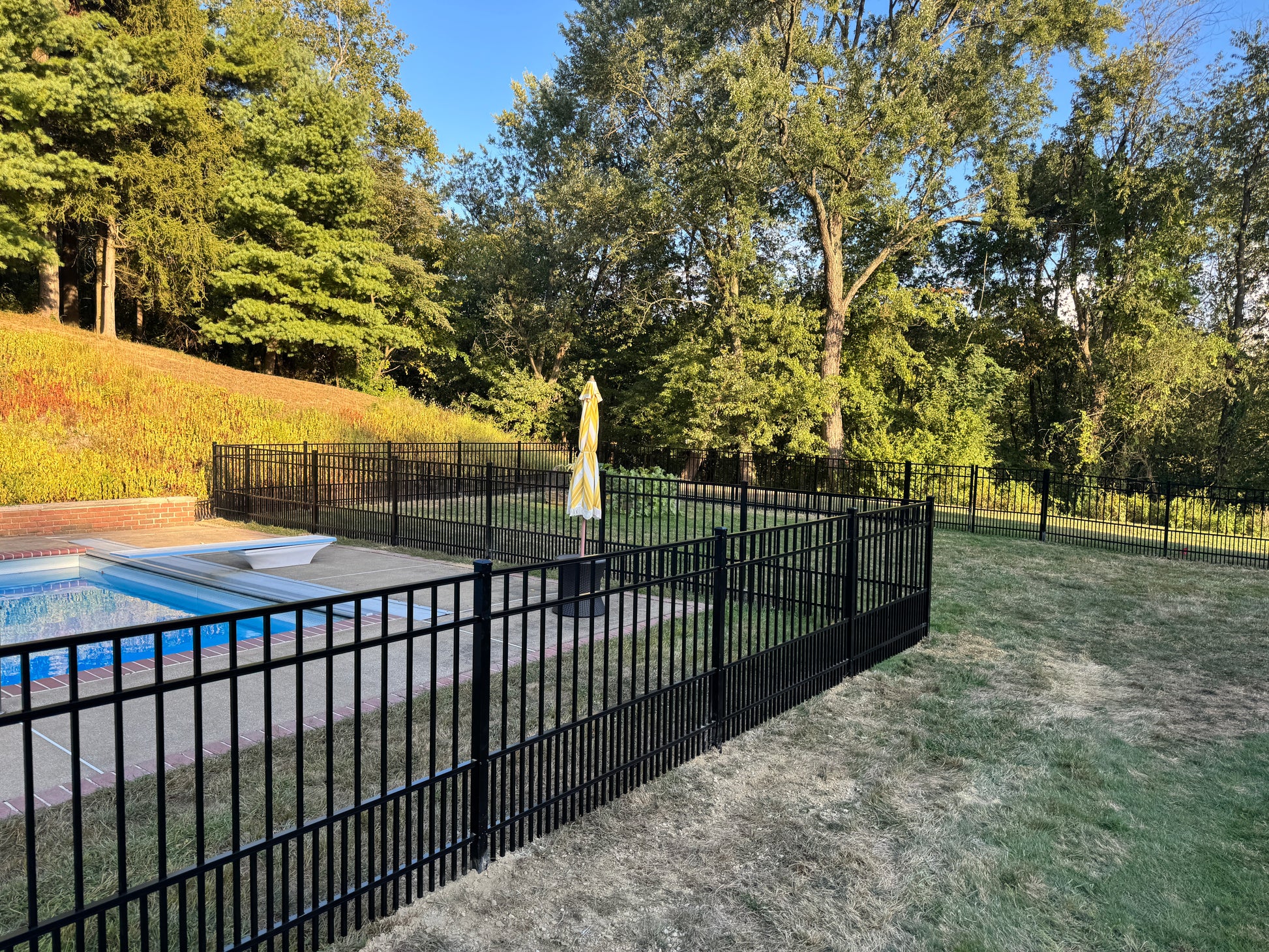 Pool area with Weatherables Terrier puppy picket aluminum fence and trees in the background