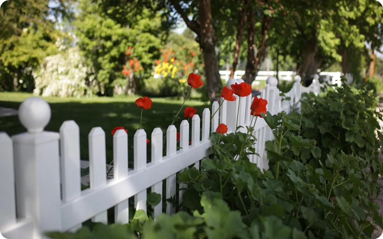 White picket fence with red flowers in a garden setting